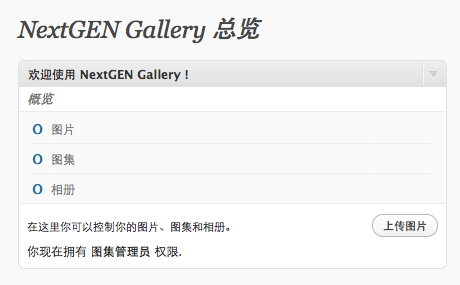 NextGEN Gallery in Chinese